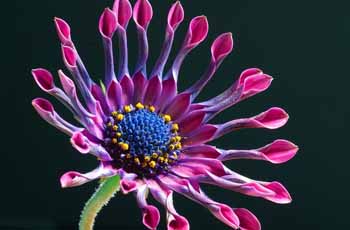 实惠的交易渠道求的云呼短信测压网页版