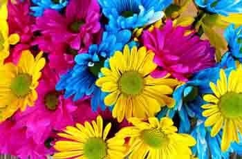 无限拨打电话软件