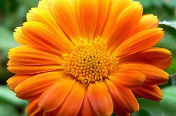 24小时轰炸对方的电话